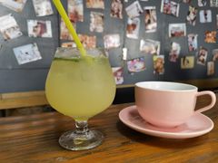 -柴犬高等学院·狗咖·柴犬售卖·宠物训练