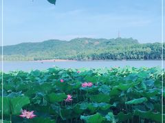-湖畔居茶楼(湖滨店)