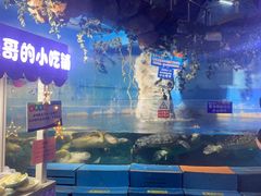 -烟台海昌鲸鲨海洋公园
