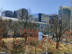 -味千拉面(金融街店)