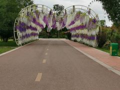 -云漫湖生态度假公园