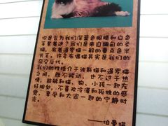-猫咪博物馆(顶澳仔猫街店)