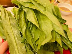 -洞庭洲·防空洞火锅·烧烤·铜锅涮肉(新百广场店)