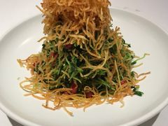 巧拌豆苗-四季民福烤鸭店(王府井灯市口店)
