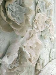 -星豆豆儿童摄影(南郊太白南路店)