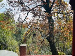 -狼山风景名胜区