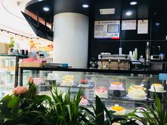 -蒲公英(五里店)