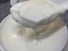 -义顺牛奶公司(新马路老店)