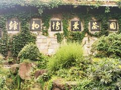 -中国茶叶博物馆(双峰馆区)