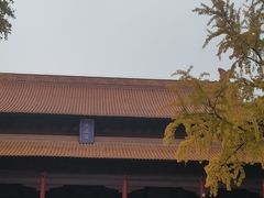 -尹氏汤包(朝天宫店)