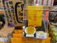 -富士山吉田線五合目