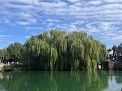 -乌镇景区