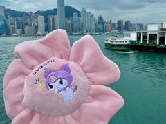 -玩具反斗城(海港城店)