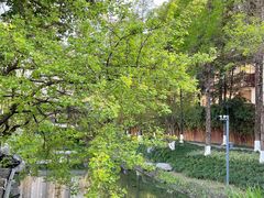 -铁像寺水街