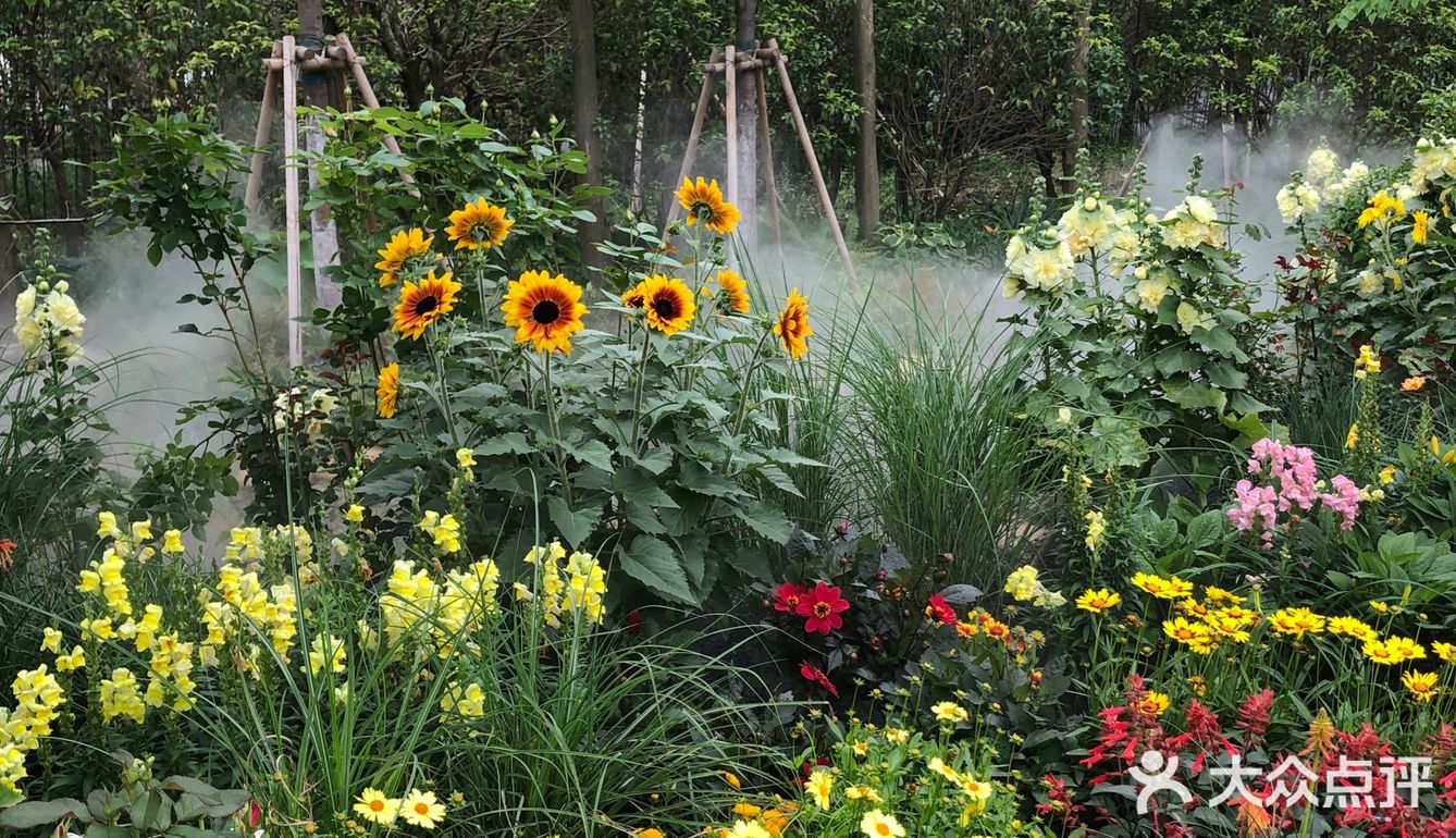 花开中国梦[加油][礼花][礼花][礼花]