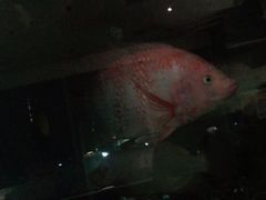 -拾贝海鲜馆（海鲜粤菜）(花果园店)