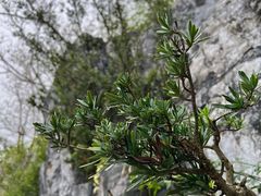 -上海吴淞炮台湾国家湿地公园