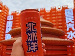-首开·龙湖成都西宸天街