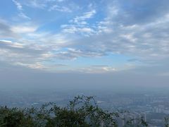 -杭州半山国家森林公园