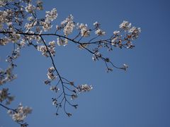-龙美术馆(西岸馆)