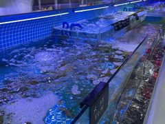 -渔民船说·北塘海鲜·天津菜·海肠捞饭(北塘古镇店)
