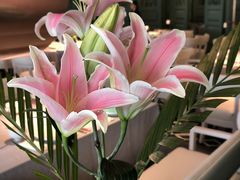 -南堂馆·新川菜(春熙路店)