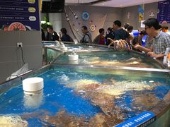 -盒马鲜生(杭州运河上街店)