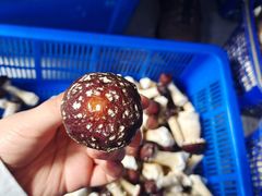 -野菌王牦牛肉汤锅