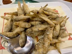 -良友·海鲜青岛菜(五四广场店)