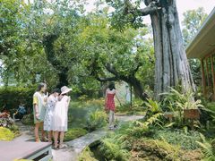 -Chom Cafe and Restaurant