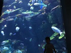 -暹罗海洋世界