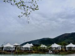 -帐篷客·溪龙茶谷度假酒店