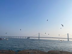 -星海广场