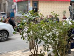 -春庄咖啡SpringHues(钟楼小区店)