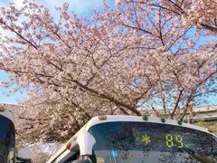 -上海南浦大桥长途旅游客运站