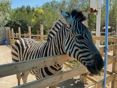 -水上乐园·欢乐世界