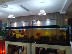 -水立方国际汤泉(六一中路店)
