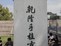 -观潮胜地公园
