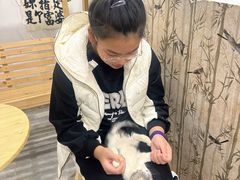 -楼上猫咖(罗湖店)