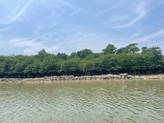 -东寨港红树林旅游区