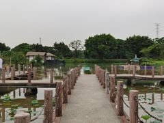 -海上田园