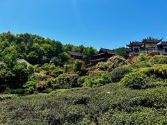 -九华山风景区