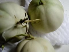 -花果山生鲜超市(浑河湾店)