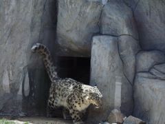 -青藏高原野生动物园