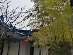 -上海醉白池公园