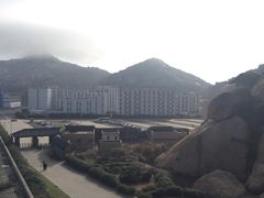 -洋山深水港