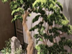 -百富源·海鲜辽菜(和平北大街店)