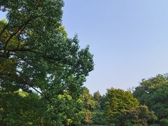 -杭州植物园
