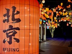 -龙湖星悦荟(颐和店)