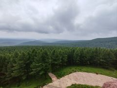 -塞罕坝国家级自然保护区